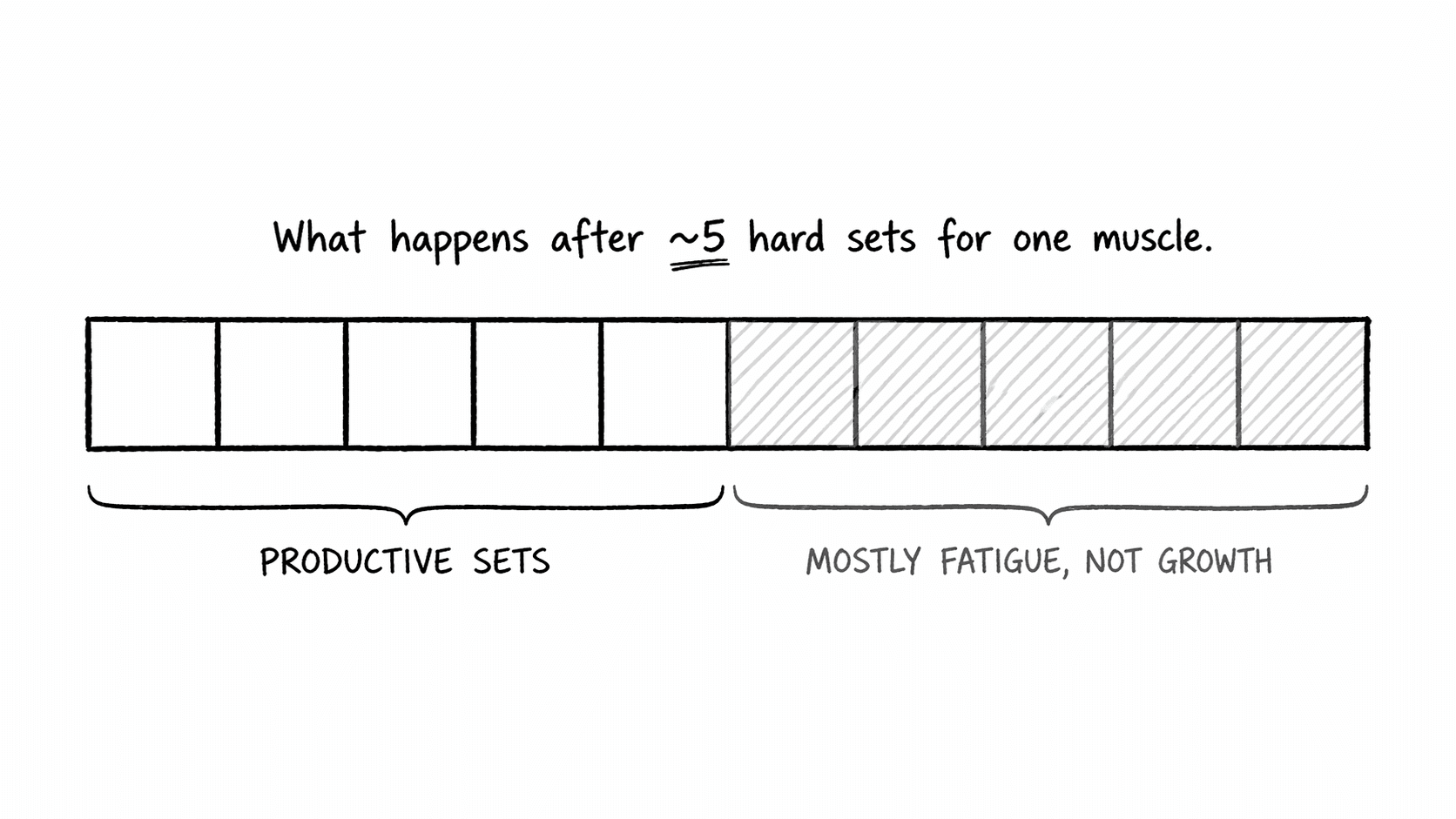 Diagram showing a row of sets for one muscle, with the first 5 labeled productive and the remaining sets hatched and labeled mostly fatigue, not growth